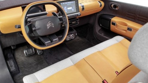 Citroen heeft de eerste beelden van de Cactus de wereld rond gestuurd, die model staat voor de toekomstige C-lijn van de fabrikant. Een afgeleide van deze Cactus komt medio volgend jaar als C4 Cactus.