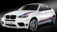 100 stuks BMW X6 M Design Edition