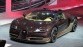 Bugatti Veyron Grand Sport Vitesse Rembrandt