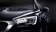 Citron: ook privileges voor DS-rijders