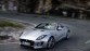 Paradepaardje van 2013; Jaguar F-Type