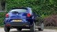 Alfa Romeo MiTo model 2014