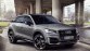 Exclusieve Audi Q2 Edition #1