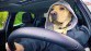 Nieuwe Opel betalen met views