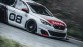 Peugeot 308 Racing Cup