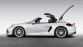 Boxster Spyder canvas dak