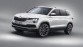 Skoda Karoq voor