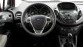 Interieur met Fiesta-DNA