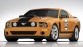 Saleen Parnelli Jones Mustang