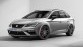 Seat Leon Cupra ziet zwart