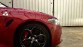 Alfa Romeo Giulia Quadrifoglio