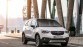 De Opel Crossland X