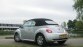 Volkswagen New Beetle Cabriolet 1.6 Highline