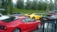 Wolfpack auto's