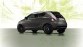 Ypsilon Elefantino in Nederland met witte details