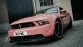 Vechtersbaas - Ford Mustang BOSS 302