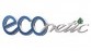 Ford ECOnetic