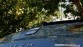 Seat Ibiza Ecomotive