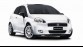 Fiat Grande Punto exclusief in zwart-wit