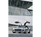De nieuwe Gullwing uit de doeken