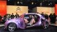 Beursverslag Autosalon van Brussel 2010