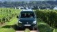 Vernieuwde Volkswagen Caddy Combi promoveert
