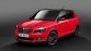 Leuk, maar niet voor Nederland - Skoda Fabia Monte Carlo