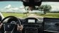 Volvo Animal Detection