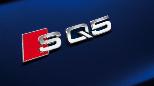 Audi zet de facelift van de Q5 kracht bij met de introductie van de SQ5 TDI met V6 biturbodiesel. Voor de drieliter is geen berg te hoog dankzij 313 pk en 650 Newtonmeter. Alsof het niets is!