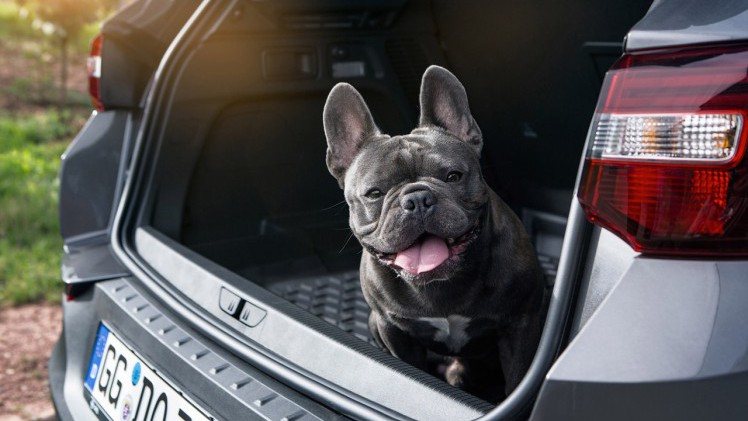 Opel levert tal van handige accessoires voor de Grandland X