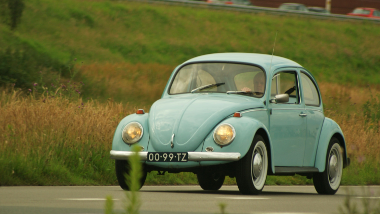 Echte klassiekers van 40 jaar en ouder raken steeds populairder. Zowel de import als verkoop is de laatste jaren flink gestegen. Deze oldtimers zijn het meest populair.