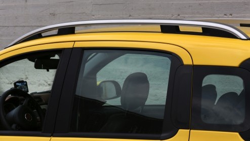 Rijtest Fiat Panda Cross: een bijzondere verschijning, de mini-SUV Fiat Panda Cross. Sterk in het terrein, comfortabel elders.