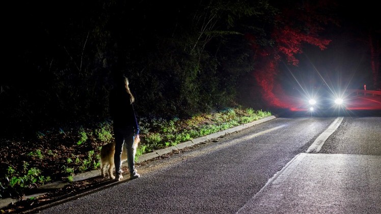 Ford maakt rijden in de nacht nog veiliger met Advanced Front Lighting en Sport Lighting om wegen, rotondes, voetgangers, fietsers en dieren te detecteren en te verlichten.