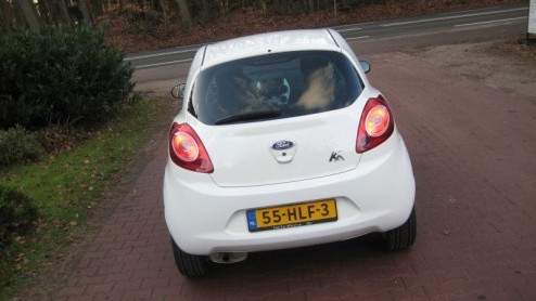 Na bijna 12 jaar op de markt te zijn geweest was het toch echt tijd voor een nieuwe Ford Ka. Het merk raakte aan de praat met Fiat, die de 500 in ontwikkeling had. Ford mengde zich in het proces en zi