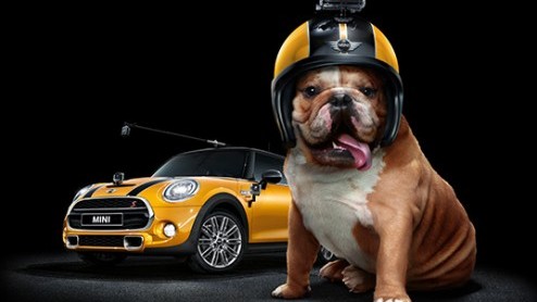 Go Pro proefrit maken in nieuwe MINI. Nu bij dealer door heel Nederland.