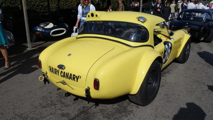 De jaarlijkse Goodwood Revival op het gelijknamige circuit vormt een verzameling bijzondere auto's en mensen waar iedere klassiekerliefhebber graag een keer deel van uitmaakt.