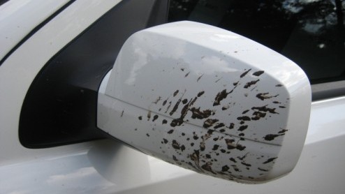 Kia was er al snel bij om de SUV-markt te betreden. De Sorento en later de Sportage zetten het merk flink op de kaart. Ondertussen zit de concurrentie niet stil en is de keuze in de markt reuze. Dat e