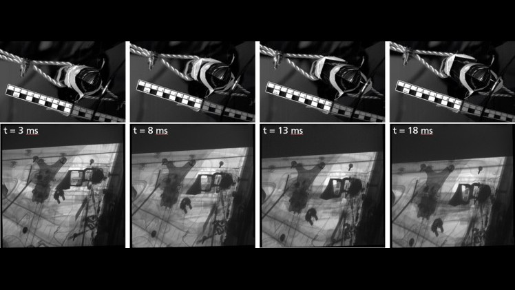 Mercedes-Benz gaat rntgentechnologie inzetten bij het uitvoeren van haar crashtests. Hiermee kunnen niet alleen scherpere beelden worden genomen, maar kan ook verder in de auto gekeken worden.