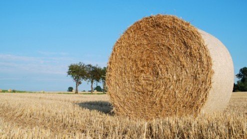 Mercedes-Benz werkt samen met chemieconcerns Clariant en Haltermann aan een testvloot van autos die uit de voeten kunnen met bio-ethanol van de tweede generatie.