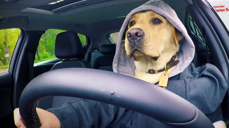 Opel heeft een bijzondere actie. Wie tijdens een proefrit een leuke vlog maakt en op youtube plaatst kan afrekenen met views.