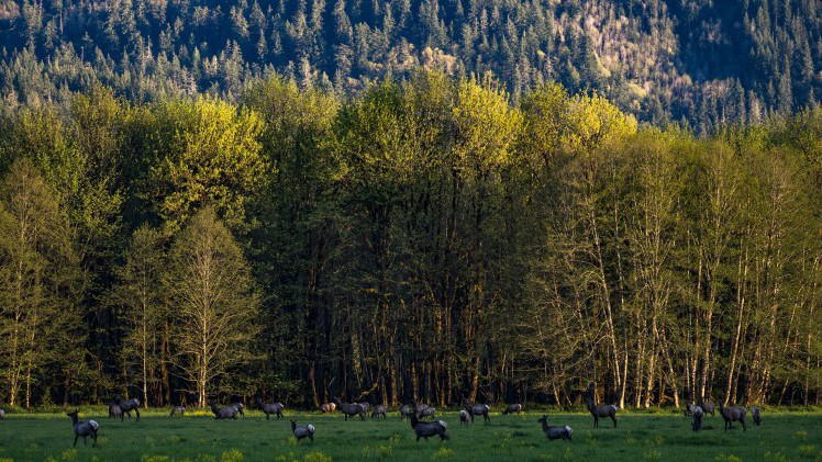 Topfotograaf Michael Christopher Brown trok met een Range Rover door het Amerika en legde de fraaiste landschappen vast.