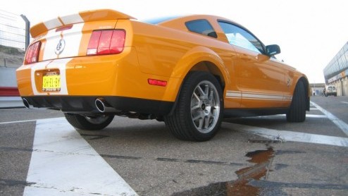 Hij is knal oranje, giftig en als je hem aanraakt brult hij het uit. We hebben het over de ber mustang, de Shelby GT500.