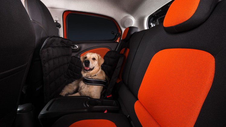 Smart for dogs is een forfour met ready space achterbank, die de instap voor honden makkelijk, schoon en veilig maakt.
