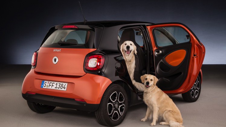 Smart for dogs is een forfour met ready space achterbank, die de instap voor honden makkelijk, schoon en veilig maakt.