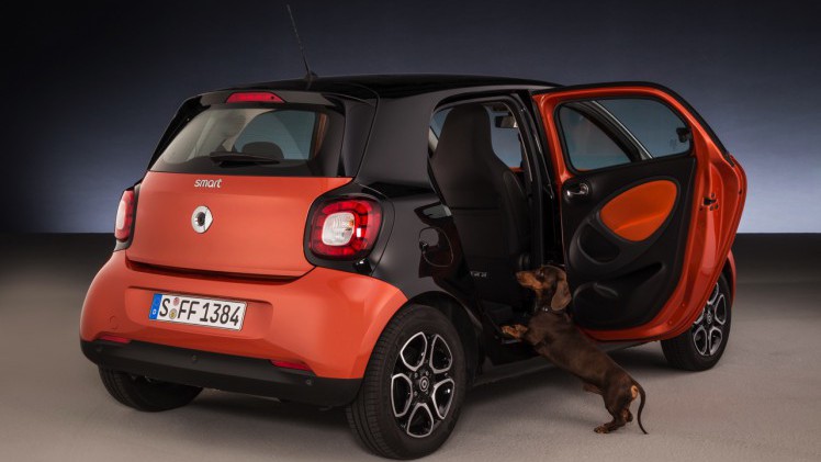 Smart for dogs is een forfour met ready space achterbank, die de instap voor honden makkelijk, schoon en veilig maakt.