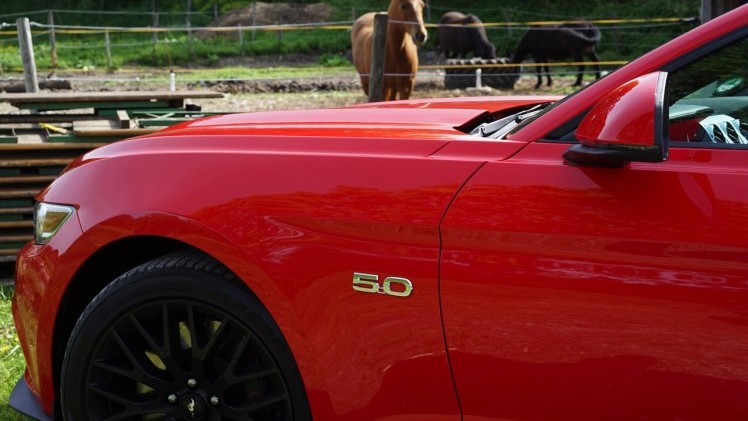 Autotest Ford Mustang 2.3 EcoBoost en 5.0 V8. We reden in Munchen met de nieuwe Ford Mustang, die je koopt als viercilinder maar eigenlijk wilt hebben als achtcilinder.