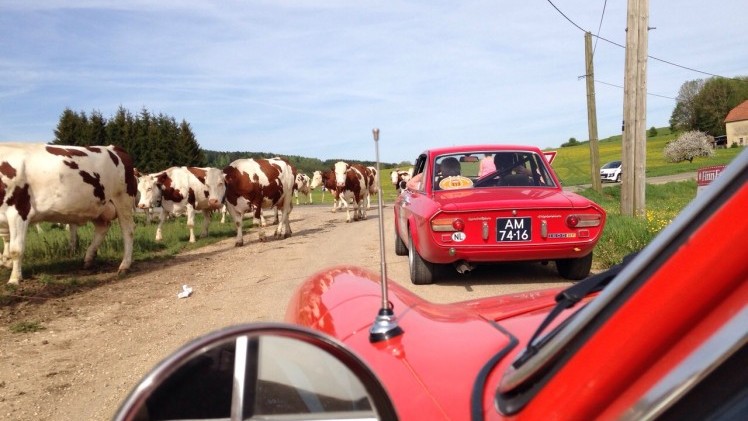 Dagverslag Tulpenrallye 2015 van Team AutoVandaag.