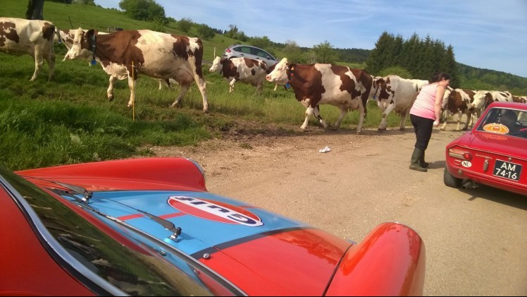 Dagverslag Tulpenrallye 2015 van Team AutoVandaag.