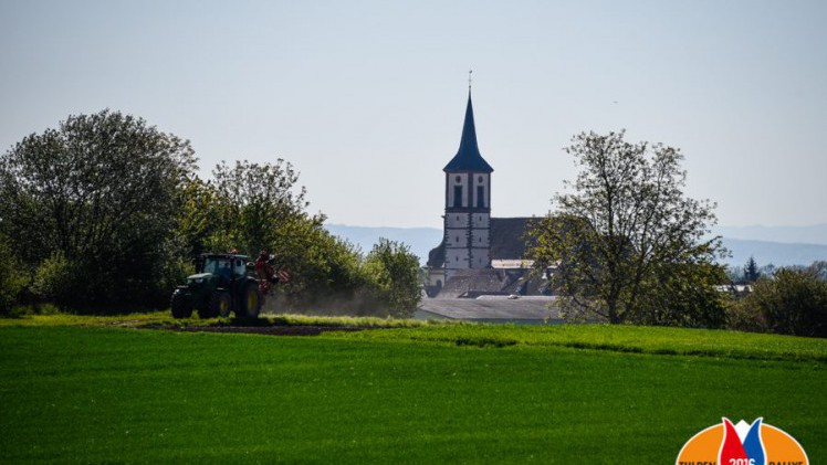 De vierde dag van de Tulpenrallye 2016 leidt door het geboorteland Frankrijk.