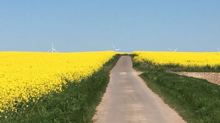 De vierde dag van de Tulpenrallye 2016 leidt door het geboorteland Frankrijk.